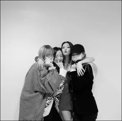 Dans ton groupe d'amis, tu es...