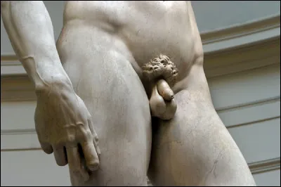 Que est le nom des deux réservoirs érectiles du pénis ?