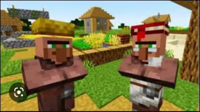 Comment appelle-t-on ceux qui sont dans des villages ?