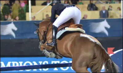 Après le tour, qu'est-il est important de faire pour le cheval ?