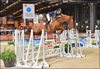 Pourquoi y a-t-il des petits décors autour des obstacles ?