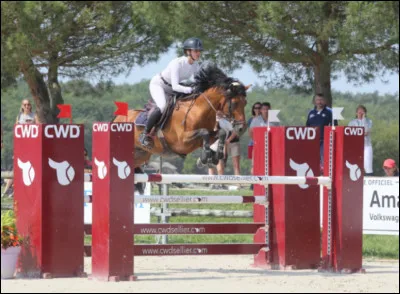 Comment appelle-t-on le cavalier et son cheval sur le parcours ?