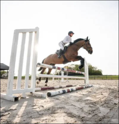 Quel est le but du CSO ?