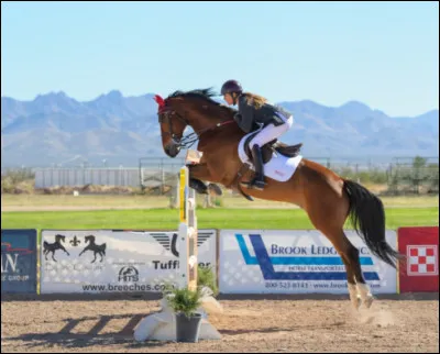 En compétition, il y a deux petits drapeaux sur le haut de chaque obstacle (on les voit dans la question 2), comment s'appellent-ils ?