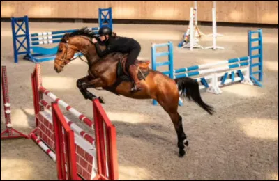 Justement, à quoi ces drapeaux servent-ils ?