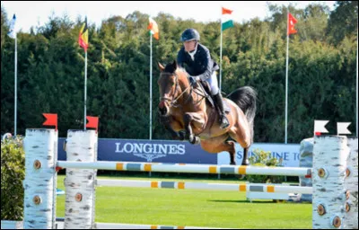 Avant l'épreuve, que les cavaliers doivent-ils faire ?