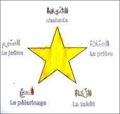 Selon le Coran, pour être un bon musulman, il faut respecter quelques règles, appelées ''grandes obligations de l'islam''. Cependant, elles ont un autre nom, le connais-tu ?