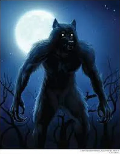 Quel habitat préfères-tu ?