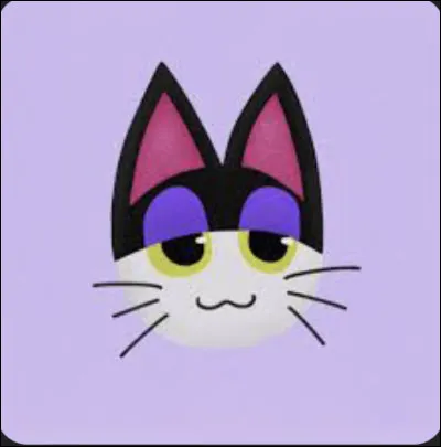 Quel style de meubles et de vêtements préfère-t-il ?