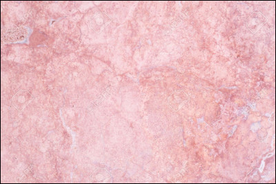 Comment se traduit "rose" en espagnol ?