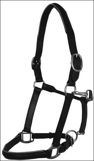 CHEVAL : Quel est le nom de cet équipement ?