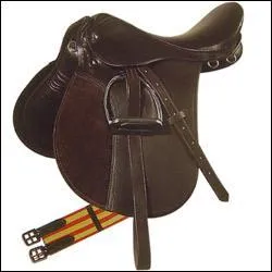 CHEVAL : Quel est le nom de cet équipement ?