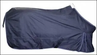 CHEVAL : Quel est le nom de cet équipement ?