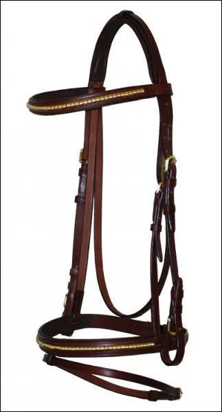 CHEVAL : Quel est le nom de cet équipement ?