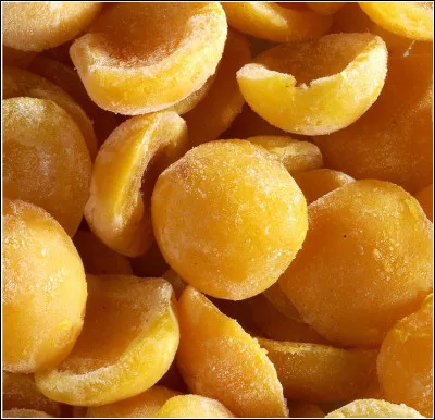 Gus est le h&eacute;ros de trois livres de jeunesse d'Hubert Monteilhet. Avec qui ou quoi, Gus n'est-il pas ?