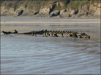 Compl&eacute;tez le titre d'Heinrich B&ouml;ll, "le destin d'une tasse..."