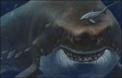 Au cours de la deuxième tâche Harry doit affronter...