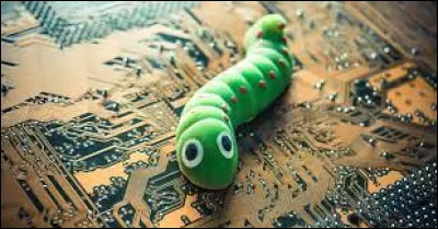 Qu'est-ce qu'un ver informatique ?