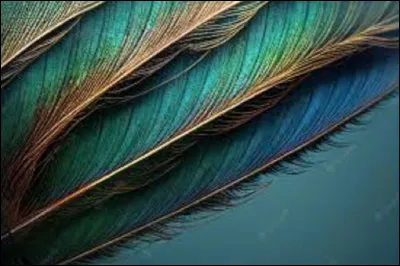 Selon l'expression des plumes de quel animal se pare-t-on lorsqu'on se se vante de mérites qui appartiennent à autrui ?