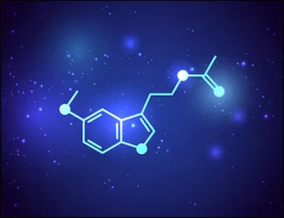 Quel est le nom de l'hormone du sommeil ?