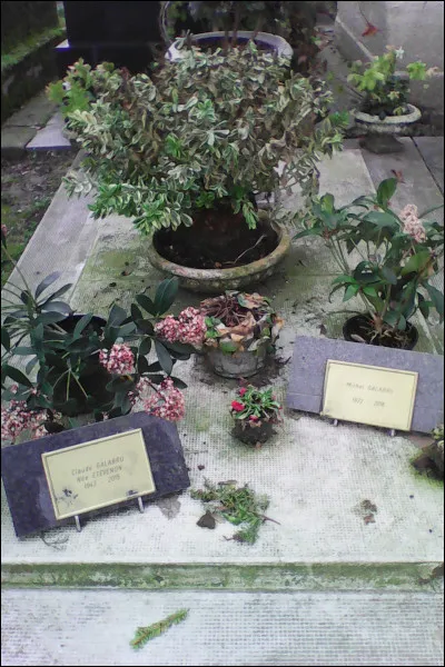 Michel Galabru est décédé dans son sommeil.