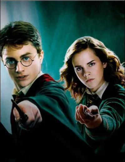 Qui est lamoureuse de Harry Potter dans le chapitre 1 ?