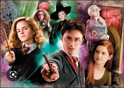 Qui est lamoureuse de Harry Potter dans le 4 ?