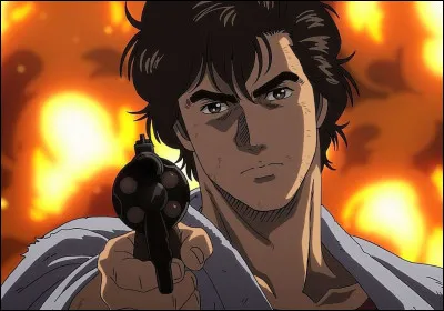 Quel est le métier de Nicky Larson ?