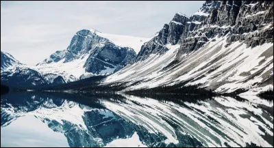 Combien de présidents ont leur tête sculptée sur le mont Rushmore ?