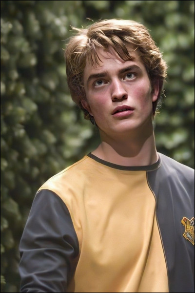 Qui est ce beau gosse ?