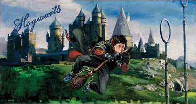 Quel est ton rôle au Quidditch ?