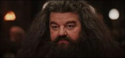 Comment s'appellent les 3 enfants de Harry Potter et de Ginevra Weasley ?