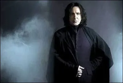 De quelle longueur est la baguette de Harry ?