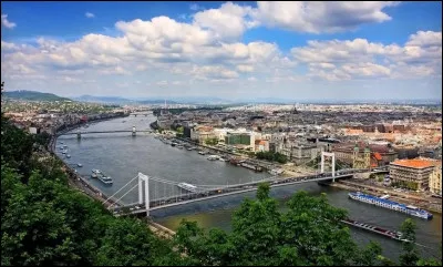 Quel fleuve arrose la ville de Vienne ?