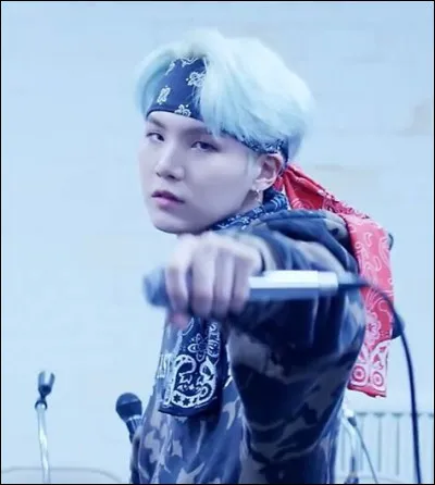 Quelle est la couleur préférée de Suga ?