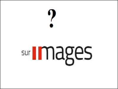 Complétez le titre de l'émission créée et présentée par Daniel Schneidermann sur la cinquième : ''... sur images''