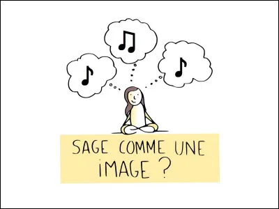 Quelle chanteuse est l'interprète du titre ''Sage comme une image'' ?