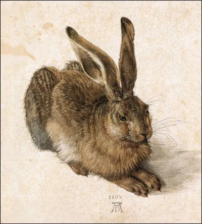 Qui a peint "Le Lièvre" ?
