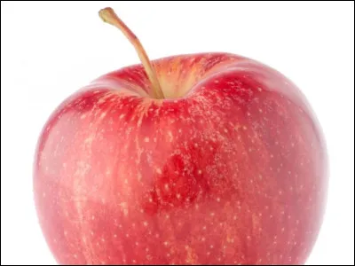 Physique : Qui a trouvé la théorie de la gravité ?