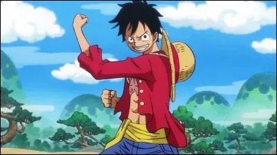 Quel effet le fruit que mange Luffy a-t-il sur lui ?