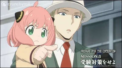 Par qui est-elle adoptée ?