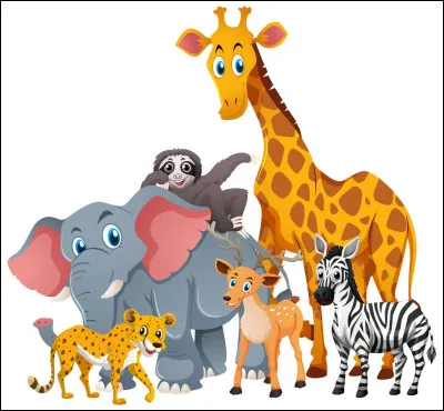 Quel animal préfères-tu ?