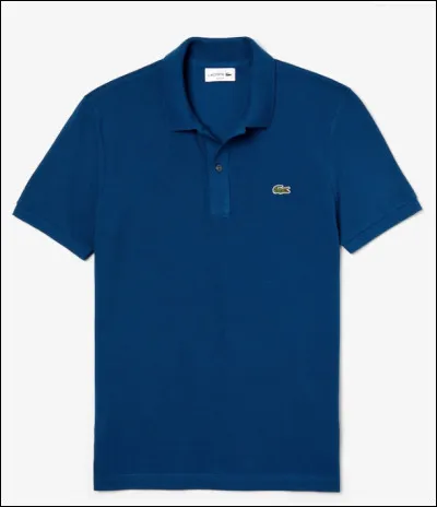 Quel est ce vêtement ?