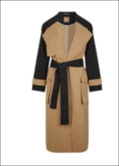 Quel est ce vêtement ?