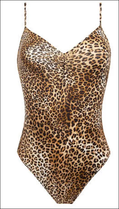 Quel est ce vêtement ?