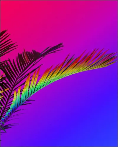 Quelle couleur préfères-tu ?