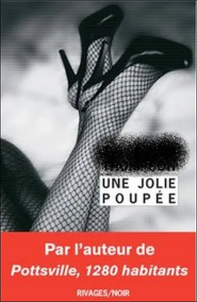 Qui est l'auteur de ce roman paru en 2017 ?