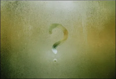 De quel anime provient Mireille Bouquet ?