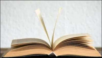 Quel ouvrage existe réellement ?