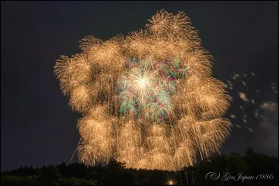 Quel pays détient le record mondial du plus gros feu d'artifice ?